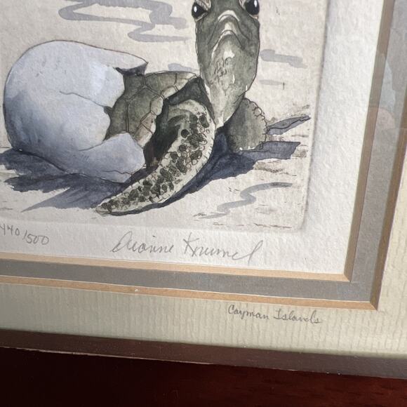 Diane Krumel “Turtle Hatching” Etch Art – Signed & Numbered 440/500 – Framed - Picture 3 of 5